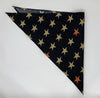 STELLAR EVOLUTION Bandanas