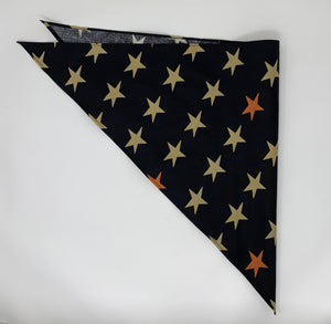 STELLAR EVOLUTION Bandanas