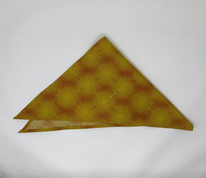 STELLAR EVOLUTION Bandanas